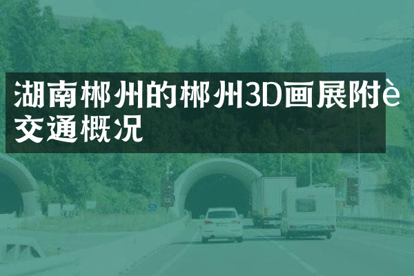湖南郴州的郴州3D画展附近交通概况