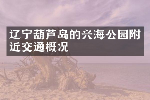 辽宁葫芦岛的兴海公园附近交通概况