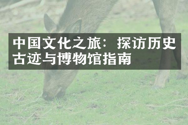 中国文化之旅：探访历史古迹与博物馆指南