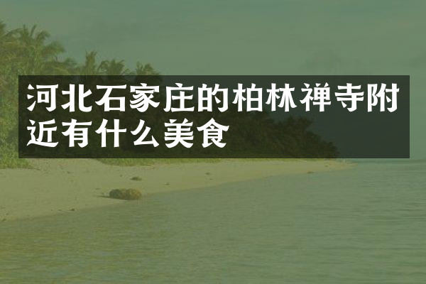 河北石家庄的柏林禅寺附近有什么美食
