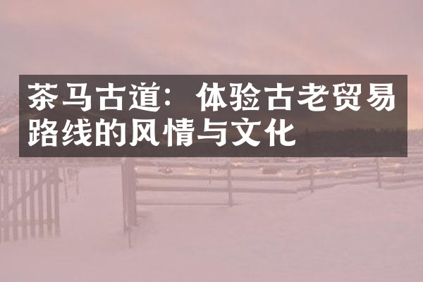 茶马古道：体验古老贸易路线的风情与文化