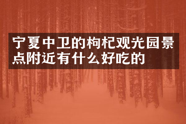 宁夏中卫的枸杞观光园景点附近有什么好吃的