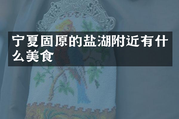 宁夏固原的盐湖附近有什么美食