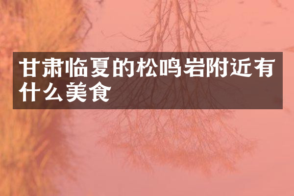 甘肃临夏的松鸣岩附近有什么美食