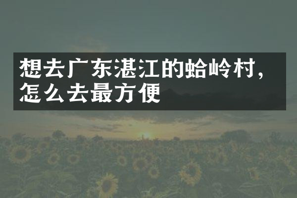 想去广东湛江的蛤岭村，怎么去最方便