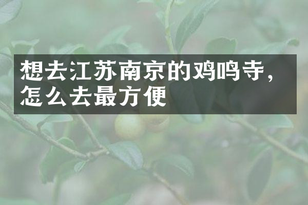 想去江苏南京的鸡鸣寺，怎么去最方便