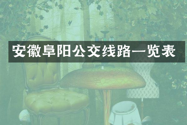 安徽阜阳公交线路一览表