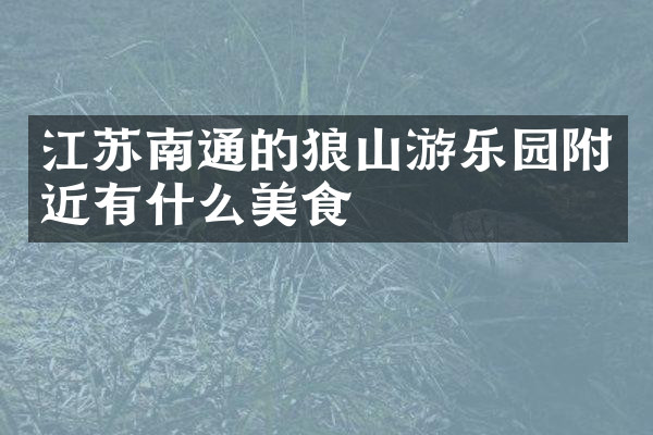 江苏南通的狼山游乐园附近有什么美食