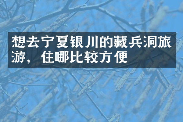 想去宁夏银川的藏兵洞旅游，住哪比较方便