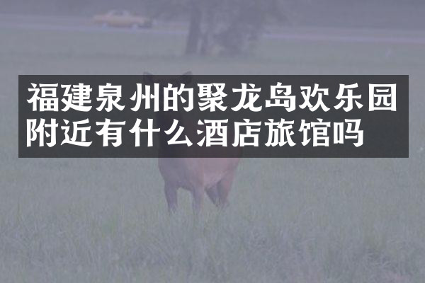福建泉州的聚龙岛欢乐园附近有什么酒店旅馆吗