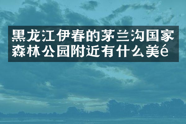 黑龙江伊春的茅兰沟国家森林公园附近有什么美食
