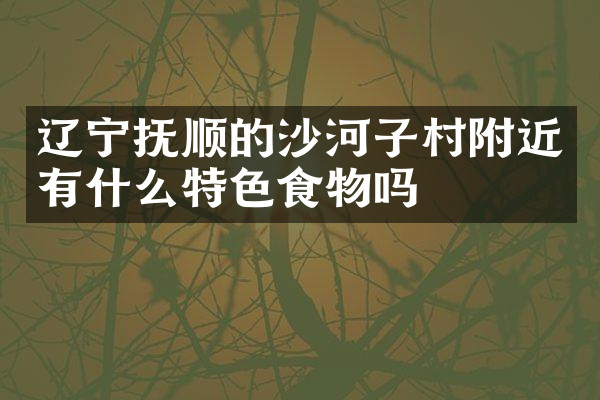 辽宁抚顺的沙河子村附近有什么特色食物吗
