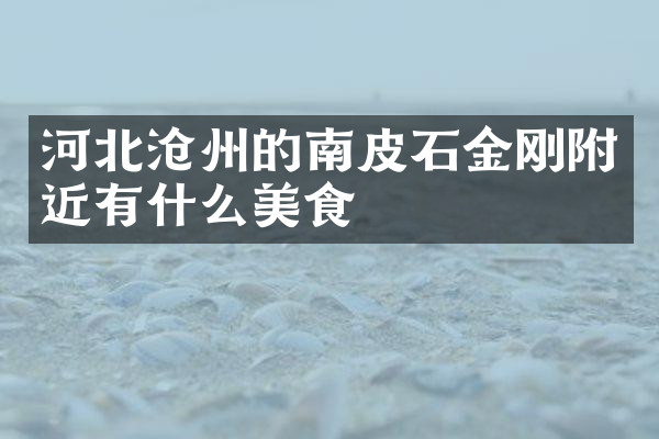 河北沧州的南皮石金刚附近有什么美食