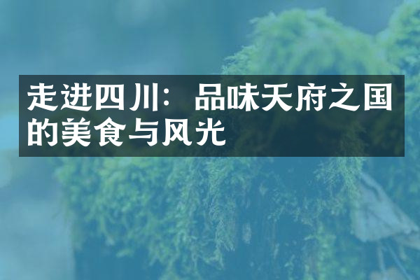 走进四川：品味天府之国的美食与风光