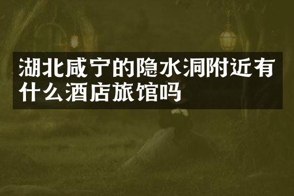 湖北咸宁的隐水洞附近有什么酒店旅馆吗