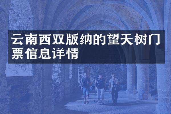 云南西双版纳的望天树门票信息详情