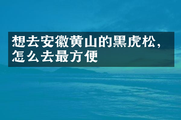 想去安徽黄山的黑虎松，怎么去最方便