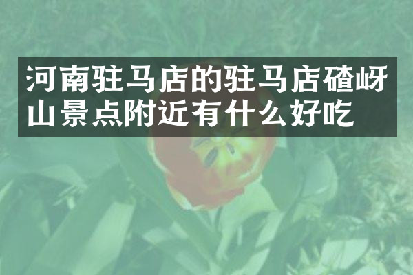 河南驻马店的驻马店碴岈山景点附近有什么好吃的