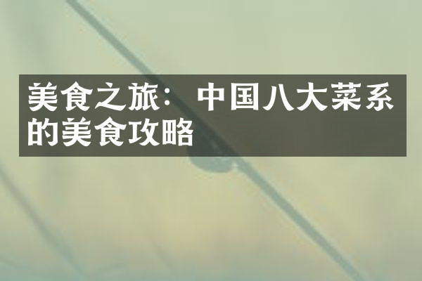 美食之旅：中国八大菜系的美食攻略