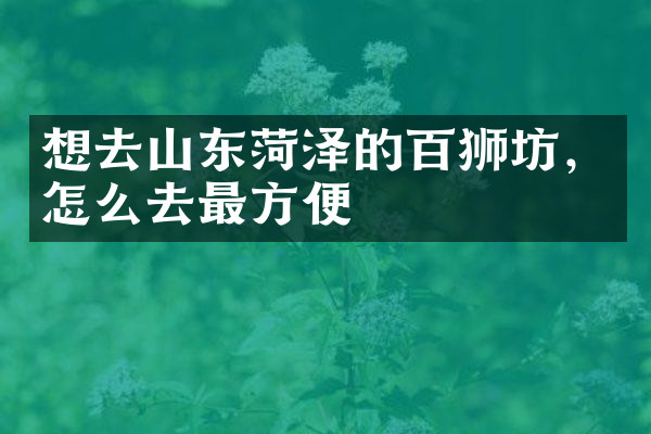 想去山东菏泽的百狮坊，怎么去最方便