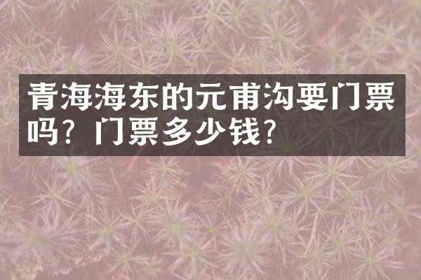 青海海东的元甫沟要门票吗？门票多少钱？