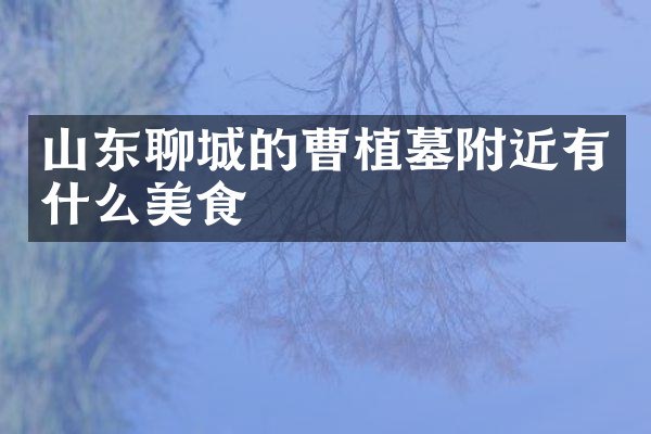 山东聊城的曹植墓附近有什么美食