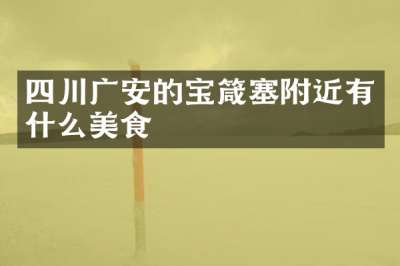 四川广安的宝箴塞附近有什么美食