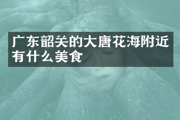 广东韶关的大唐花海附近有什么美食