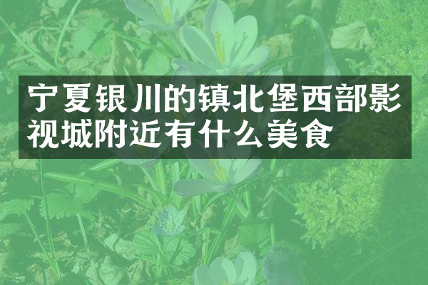 宁夏银川的镇北堡西部影视城附近有什么美食
