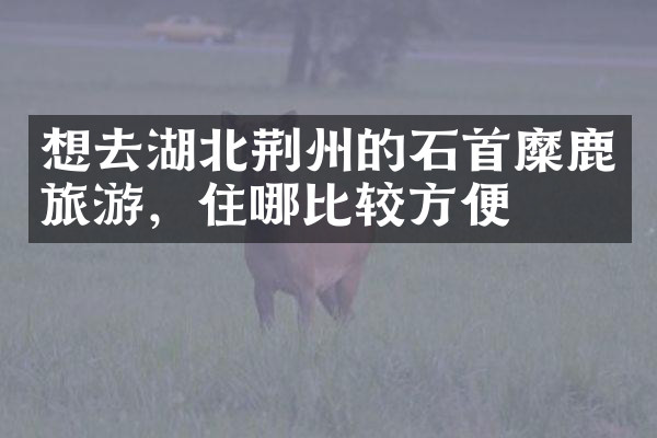 想去湖北荆州的石首糜鹿旅游，住哪比较方便