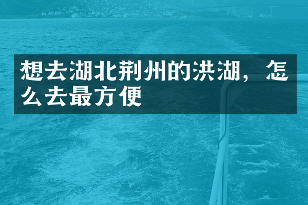 想去湖北荆州的洪湖，怎么去最方便