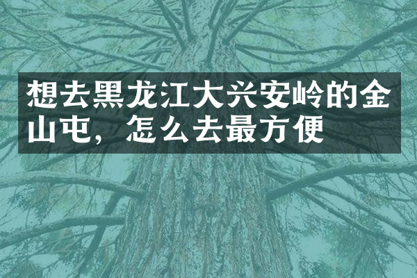 想去黑龙江大兴安岭的金山屯，怎么去最方便