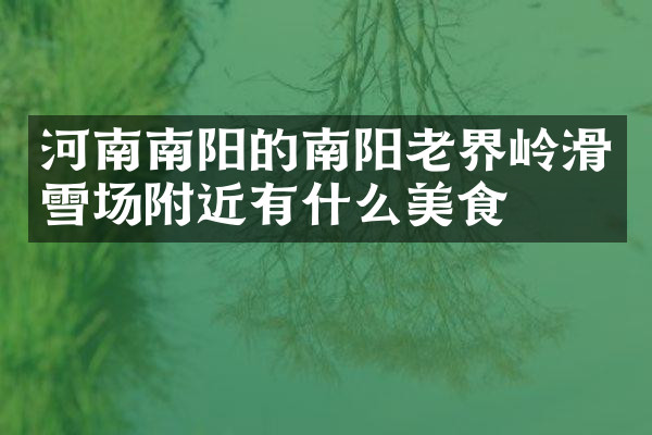 河南南阳的南阳老界岭滑雪场附近有什么美食