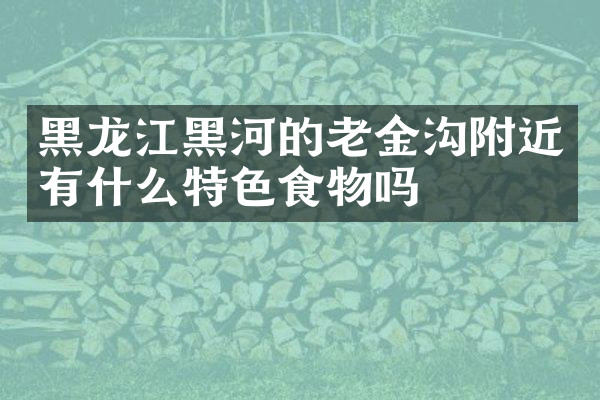 黑龙江黑河的老金沟附近有什么特色食物吗