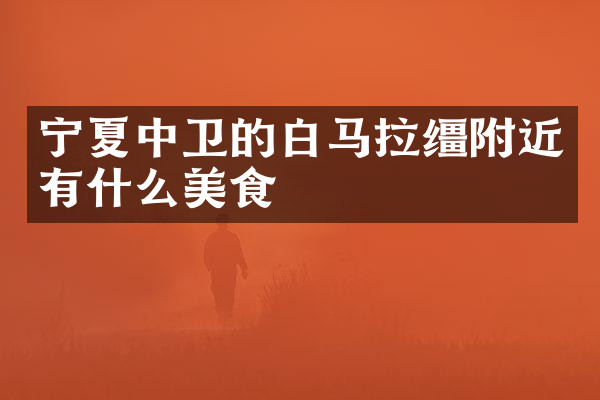 宁夏中卫的白马拉缰附近有什么美食