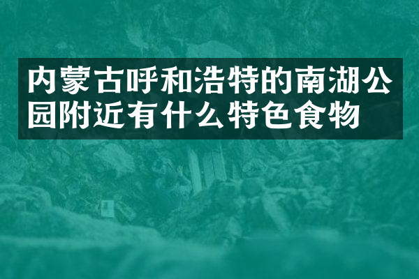 内蒙古呼和浩特的南湖公园附近有什么特色食物吗