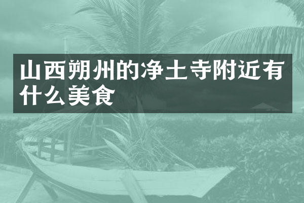 山西朔州的净土寺附近有什么美食