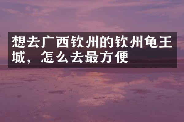 想去广西钦州的钦州龟王城，怎么去最方便