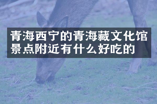 青海西宁的青海藏文化馆景点附近有什么好吃的