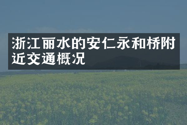 浙江丽水的安仁永和桥附近交通概况