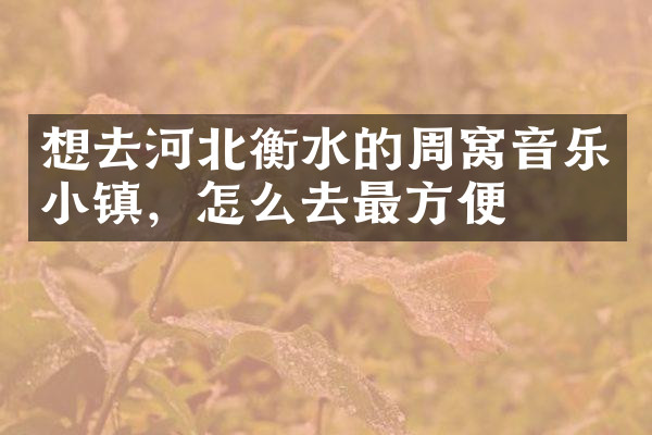 想去河北衡水的周窝音乐小镇，怎么去最方便