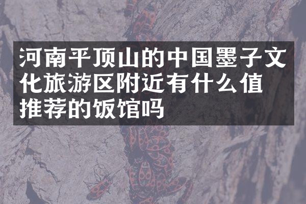河南平顶山的中国墨子文化旅游区附近有什么值得推荐的饭馆吗