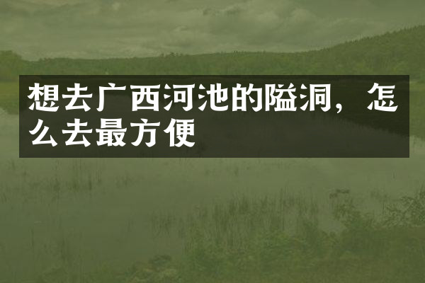 想去广西河池的隘洞，怎么去最方便