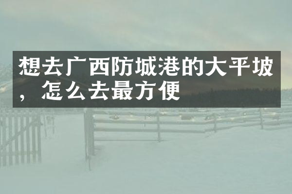 想去广西防城港的大平坡，怎么去最方便