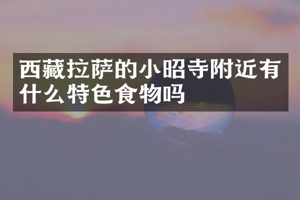 西藏拉萨的小昭寺附近有什么特色食物吗