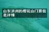 山东滨州的樱花山门票信息详情