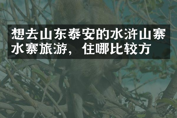 想去山东泰安的水浒山寨水寨旅游，住哪比较方便