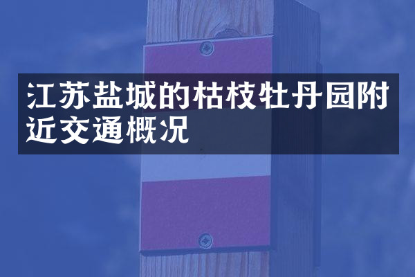 江苏盐城的枯枝牡丹园附近交通概况