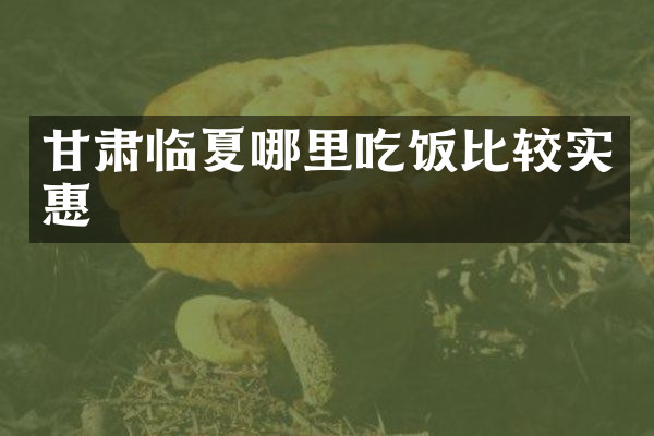 甘肃临夏哪里吃饭比较实惠