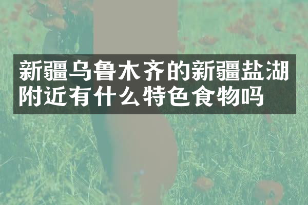 新疆乌鲁木齐的新疆盐湖附近有什么特色食物吗